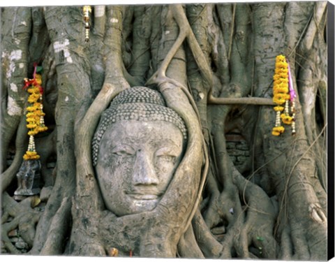 Framed Buddha head in tree roots, Wat Mahathat, Ayutthaya, Thailand Print