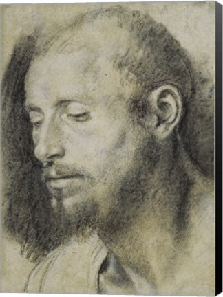 Framed Study of the Head of a Bearded Man Print