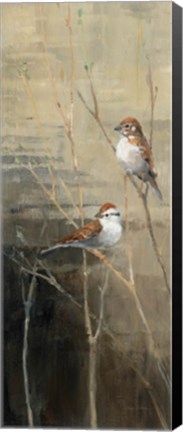 Framed Sparrows at Dusk II Print