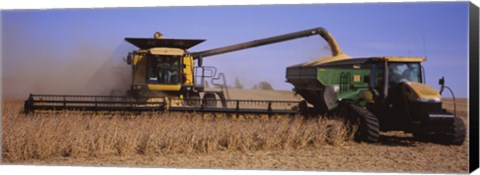 Framed Combine harvesting soybeans in a field, Minnesota Print