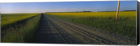 Framed Country Road in Millet, Canada Print