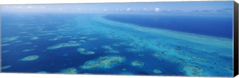 Framed Coral reef in the sea, Belize Barrier Reef, Ambergris Caye, Caribbean Sea, Belize Print