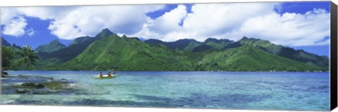 Framed Polynesian people rowing a yellow outrigger boat in the bay, Opunohu Bay, Moorea, Tahiti, French Polynesia Print