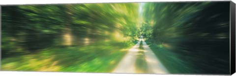 Framed Road, Greenery, Trees, Germany Print