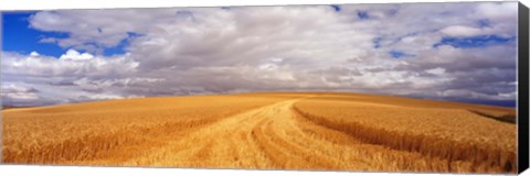 Framed Wheat Field, Washington State, USA Print