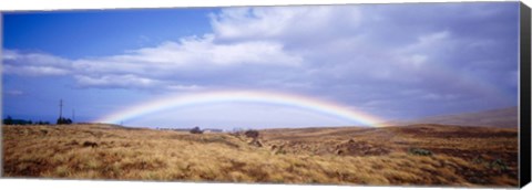 Framed Field, Rainbow, Hawaii, USA Print