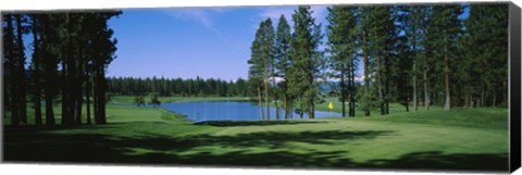 Framed Trees on a golf course, Edgewood Tahoe Golf Course, Stateline, Nevada, USA Print