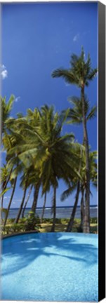 Framed Palm Trees in Maui, Hawaii (vertical) Print