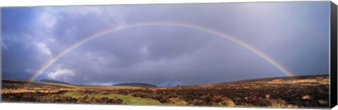 Framed Rainbow above Fernworthy Forest, Dartmoor, Devon, England Print