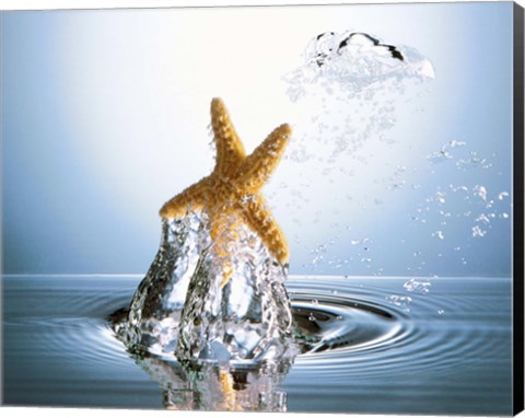 Framed Starfish rising on water bubble toward bright light Print