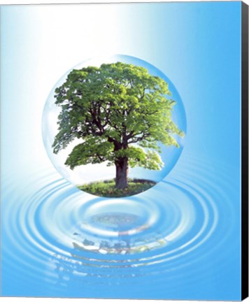 Framed clear sphere with a full tree floats over a large water ring with reflection Print