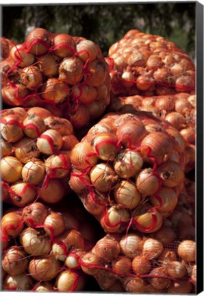 Framed Close-up of sack of onions, Seclantas, Calchaqui Valleys, Salta Province, Argentina Print