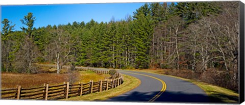 Framed Road passing through a forest, Blue Ridge Parkway, North Carolina, USA Print
