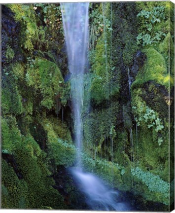 Framed Wheeler Creek Waterfall on Dutton Ridge, Crater Lake National Park, Oregon, USA Print