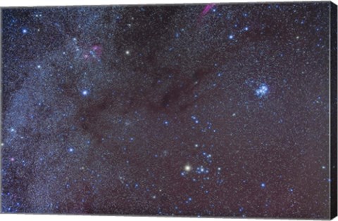 Framed Taurus region showing dark lanes of nebulosity Print