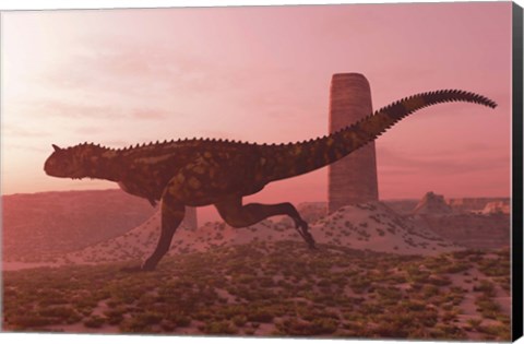 Framed Carnotaurus running in the early morning light on desert terrain Print