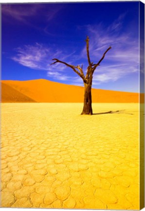 Framed Skeleton Trees in Dead Vlei, Namibia Print