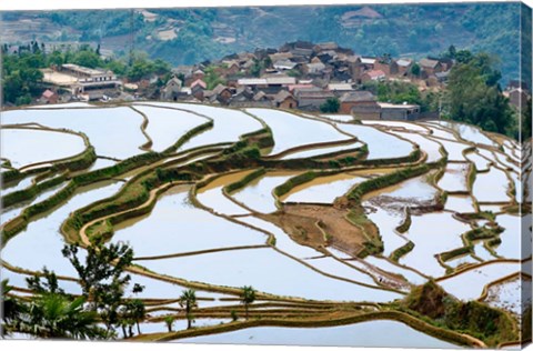 Framed Village Beside Flooded Jiayin Terraces, Honghe County, Yunnan, China Print