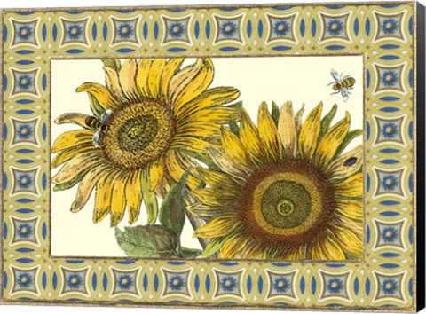 Framed Classical Sunflower II Print