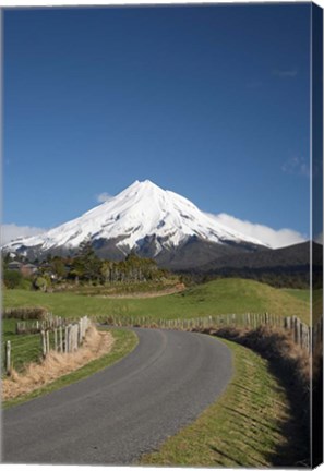 Framed Road, Mt Taranaki, Mt Egmont, North Island, New Zealand Print
