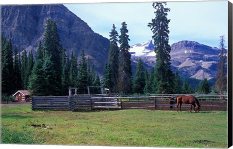 Framed Log Cabin, Horse and Corral, Banff National Park, Alberta, Canada Print