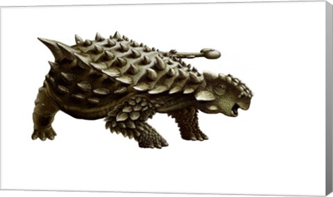 Framed armored Saichania ankylosaurid, white background Print