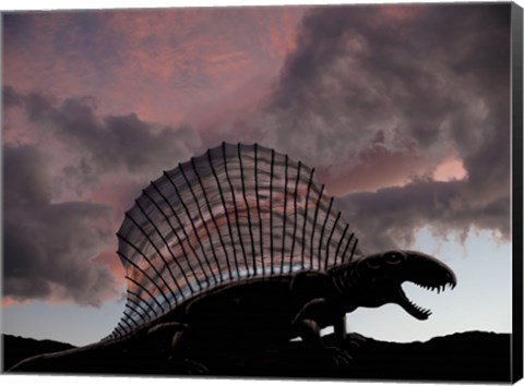 Framed Dimetrodon limbatus, a prehistoric animal Print
