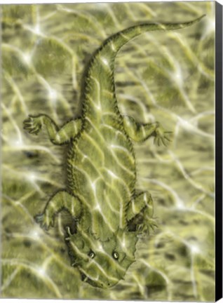 Framed Lanthanosuchus, an extinct genus of parareptile Print
