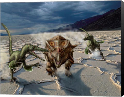 Framed Velociraptors chase a Bagaceratops in a prehistoric desert Print