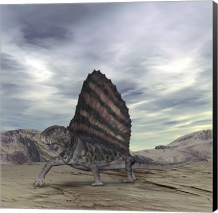Framed Dimetrodon Grandis Traverses Earth During the Early Permian Period Print