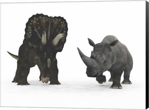 Framed Adult Nedoceratops Compared to a Modern Adult White Rhinoceros Print
