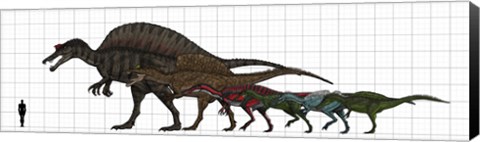 Framed Spinosauridae Size chart Print