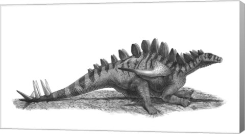 Framed Pencil Drawing of Gigantspinosaurus Sichuanensis Print