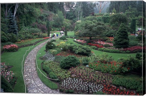 Framed Butchart Gardens, Vancouver Island, British Columbia, Canada Print