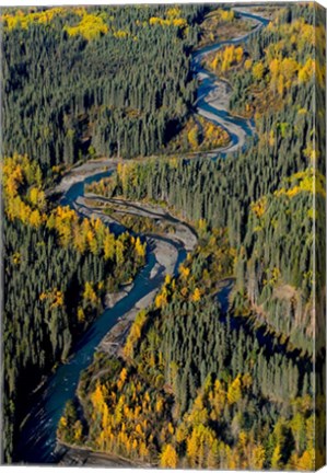 Framed Todagin Creek, River, South Slope, British Columbia Print