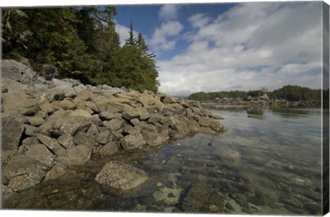 Framed Dicebox Island, Pacific Rim NP, British Columbia Print