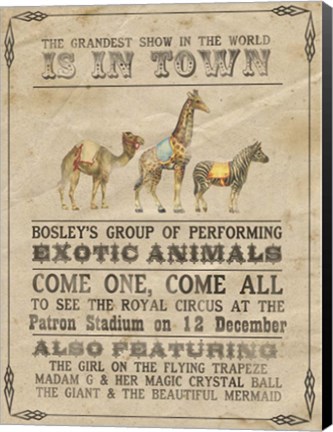 Framed Vintage Circus III Print