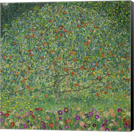 Framed Apple Tree  I, 1912 Print