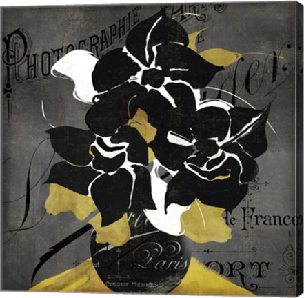 Framed Georgette II Print