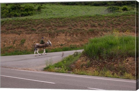 Framed Old man rides a donkey loaded with wood, Anguiano, La Rioja, Spain Print