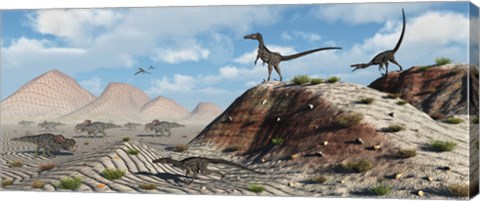 Framed Velociraptors Stalking a Herd of Protoceratops Print