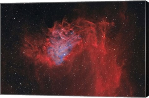 Framed Flaming Star Nebula II Print
