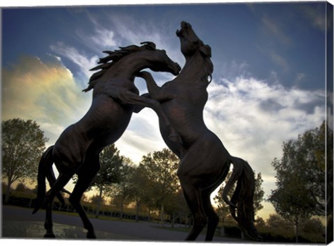 Framed Stallions Print