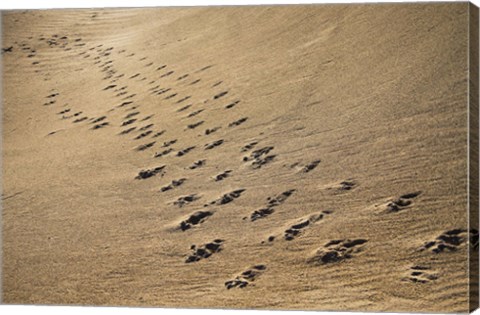 Framed Crossing Paths Print