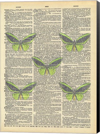 Framed Secret Butterfly II Print