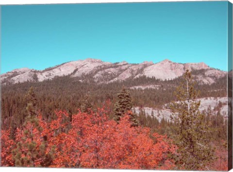 Framed Sierra Nevada Mountains Print