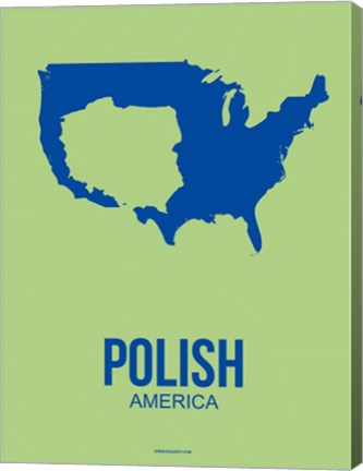 Framed Polish America 3 Print