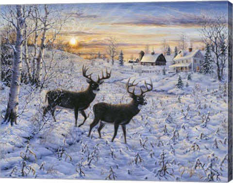 Framed Two Deer In The Moonlight Print