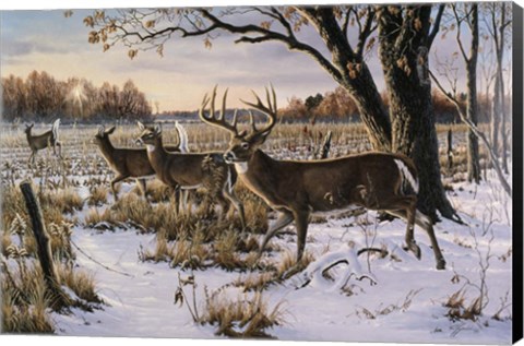 Framed Cautious Crossing - Whitetails Print