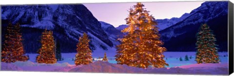 Framed Christmas Trees, Lake Louise, Alberta, Canada Print